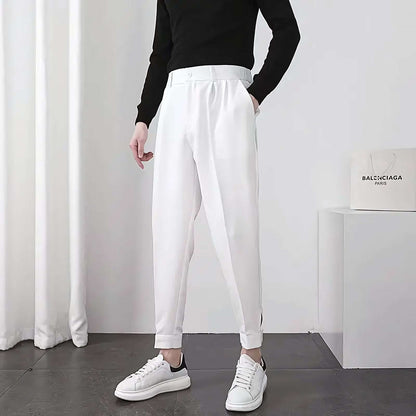 Seoul Tapered Pleat Pants - Best Seoul Tapered Pleat Pants - Korean Style Slim Fit Trousers Alex Shogun Men's Clothes