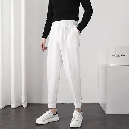 Seoul Tapered Pleat Pants - Best Seoul Tapered Pleat Pants - Korean Style Slim Fit Trousers Alex Shogun Men's Clothes