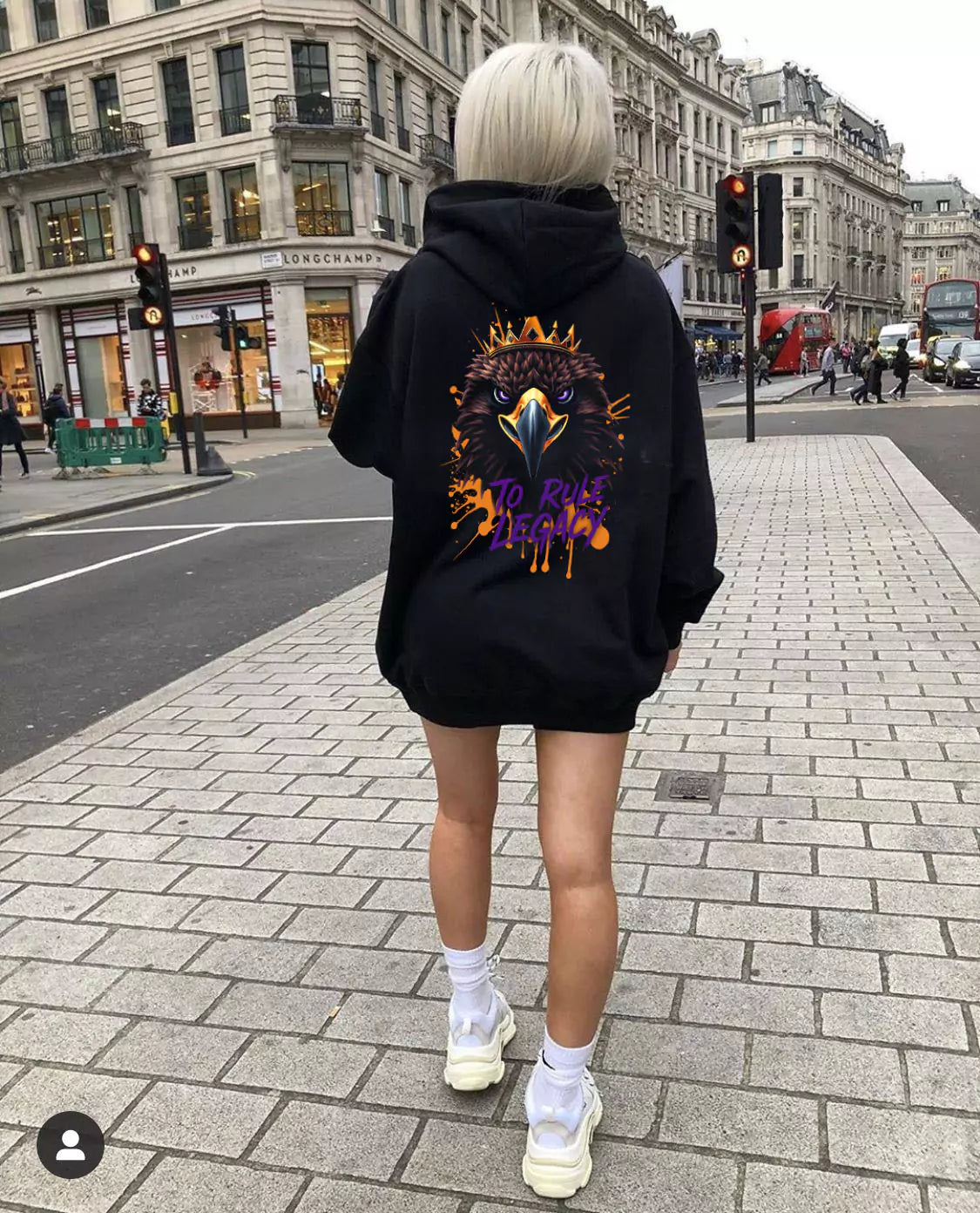 The Legacy Reign Hoodie - Premium Comfort Hoodie – Men's Vintage Graphic Streetwear -Alex Shogun Alex Shogun Men's Clothes