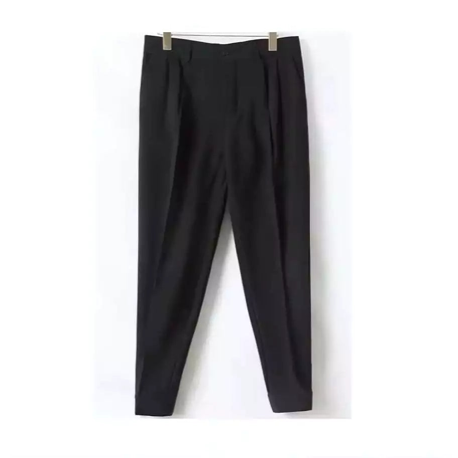 Seoul Tapered Pleat Pants - Best Seoul Tapered Pleat Pants - Korean Style Slim Fit Trousers Alex Shogun Men's Clothes